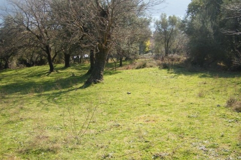 kumbor plac gradnja kumbor herceg novi kamin nekretnine