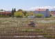 vineyard in podgorica montenegro for sale bussines montenegro vinograd podgorica kamin nekretnine