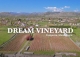 vineyard in podgorica montenegro for sale bussines montenegro vinograd podgorica kamin nekretnine