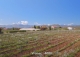 vineyard in podgorica montenegro for sale bussines montenegro vinograd podgorica kamin nekretnine