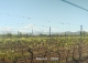 vineyard in podgorica montenegro for sale bussines montenegro vinograd podgorica kamin nekretnine