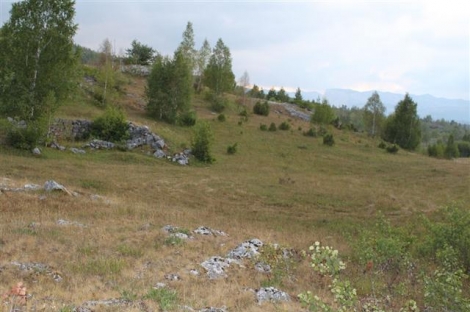 zabljak plac prodaja nekretnina Agencija za nekretnine Budva prodaja placeva sever crne gore